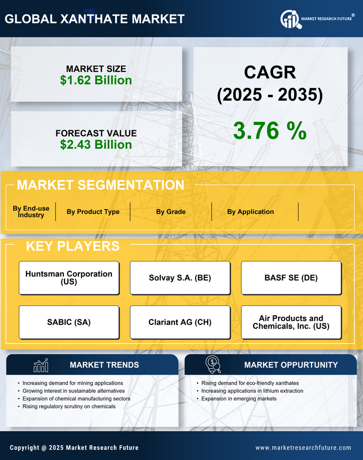 Xanthate Market Research Report — Global Forecast till 2035 Infographic