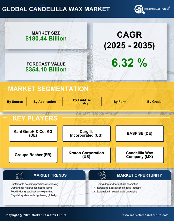 Candelilla Wax Market Research Report — Global Forecast till 2035 Infographic