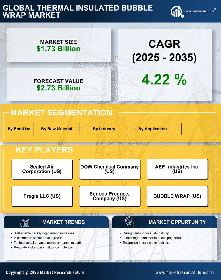 Thermal Insulated Bubble Wrap Market Research Report - Global Forecast by 2035 Infographic