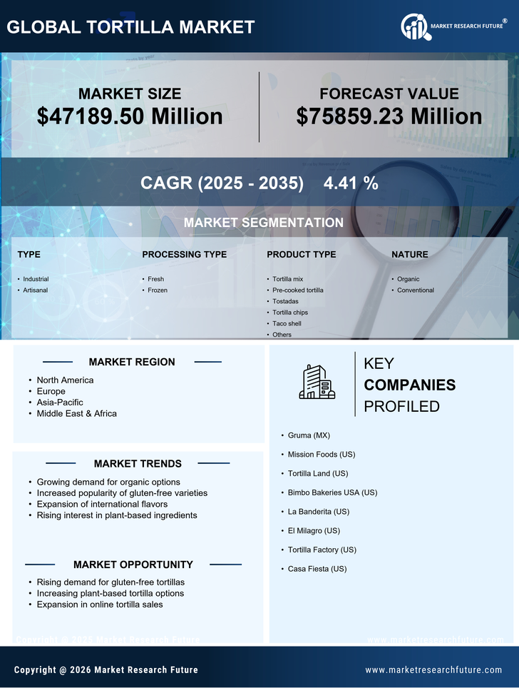 Tortilla Market Research Report - Forecast till 2035 Infographic