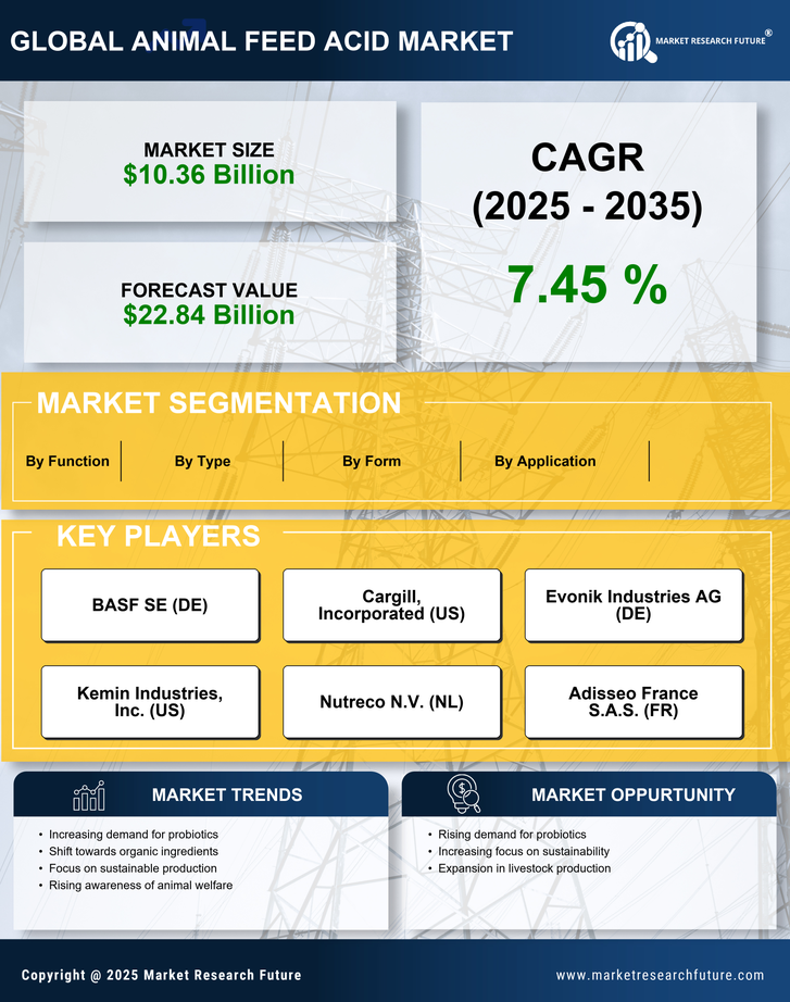 Animal Feed Acid Market Research Report - Forecast Till 2035 Infographic