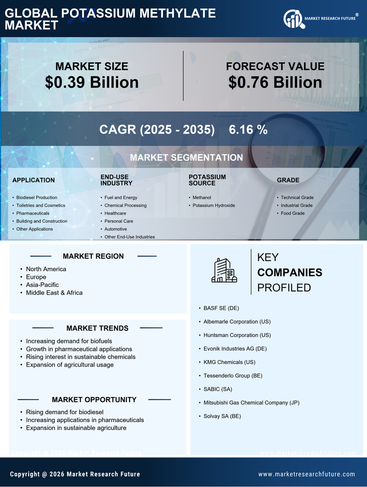 Potassium Methylate Market Research Report- Global Forecast till 2035 Infographic