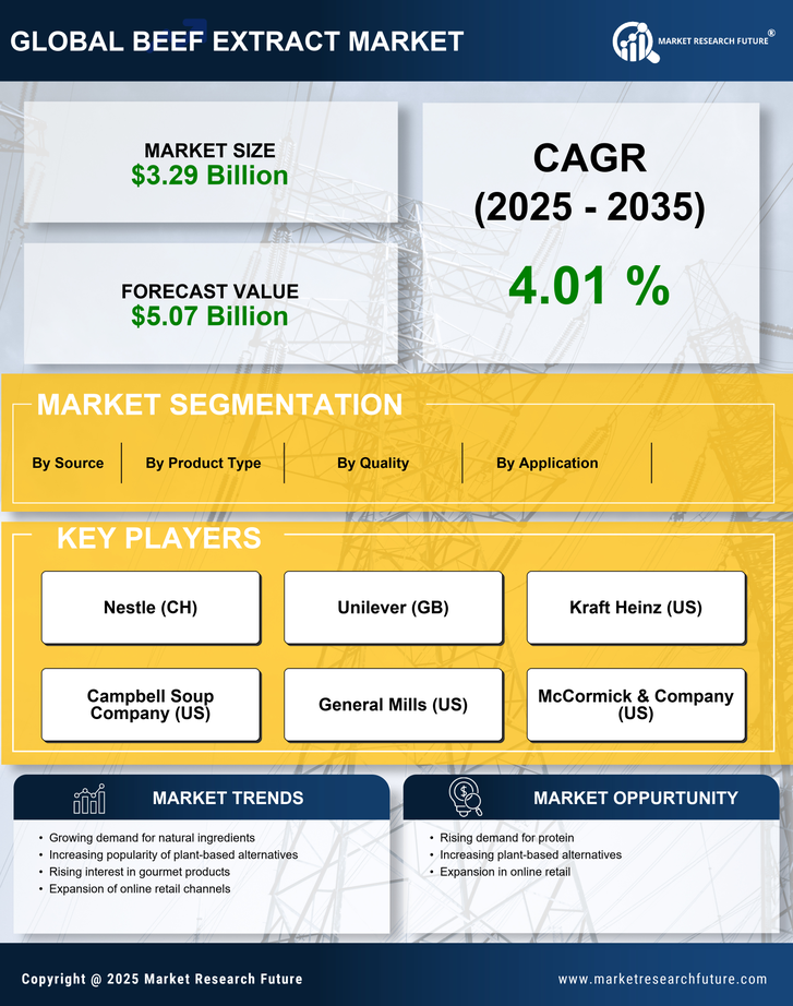 Beef Extract Market Research Report — Global Forecast till 2035 Infographic