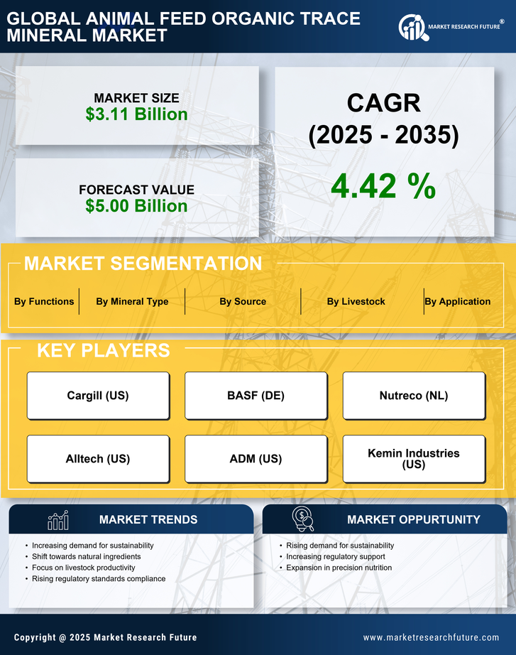 Animal Feed Organic Trace Market Research Report - Forecast Till 2035 Infographic