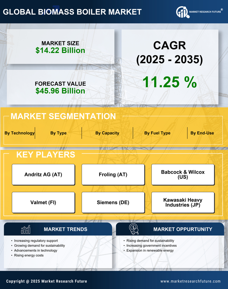 Biomass Boiler Market Research Report — Global Forecast till 2035 Infographic