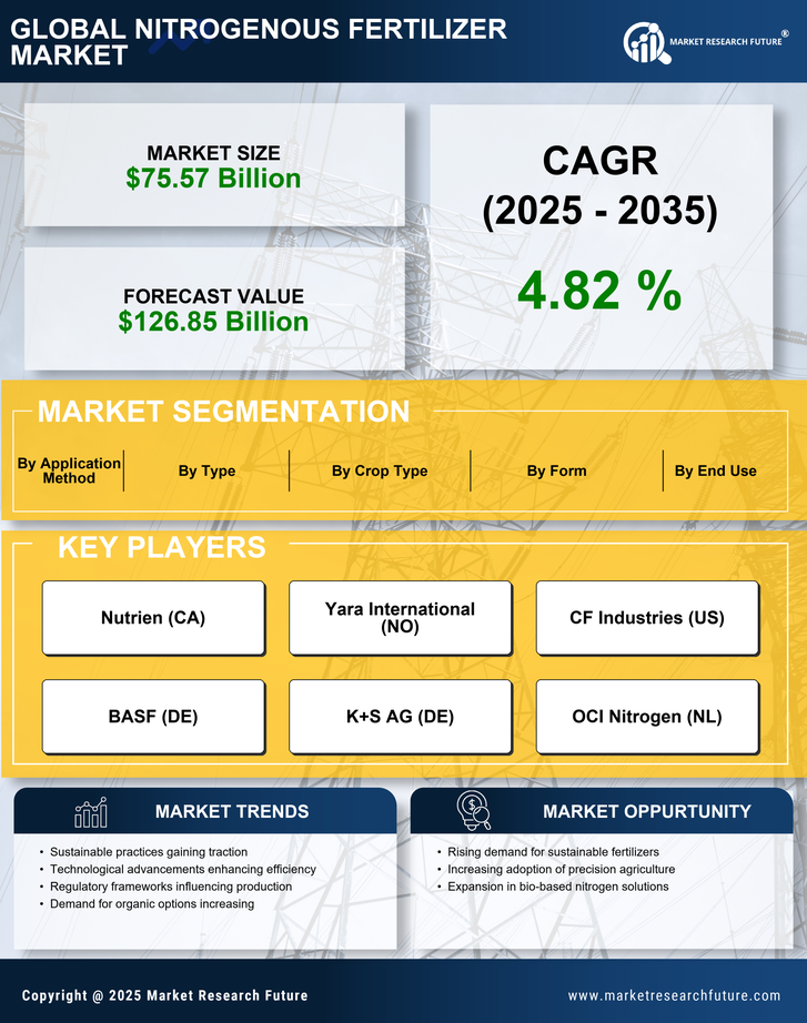 Nitrogenous Fertilizer Market Research Report - Global Forecast to 2035 Infographic