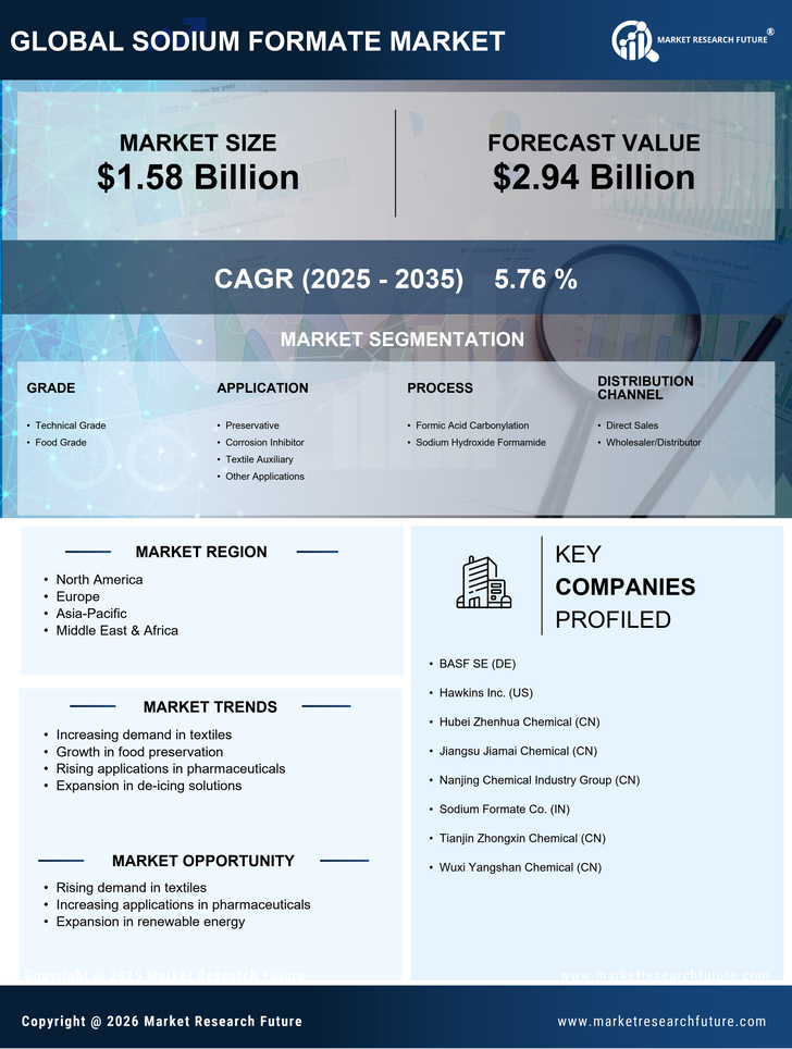 Sodium Formate Market Research Report Forecast Till 2035 Infographic