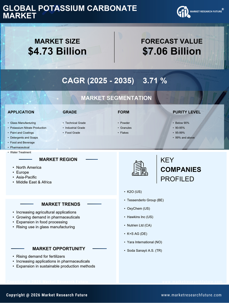 Potassium Carbonate Market Research Report - Forecast Till 2035 Infographic