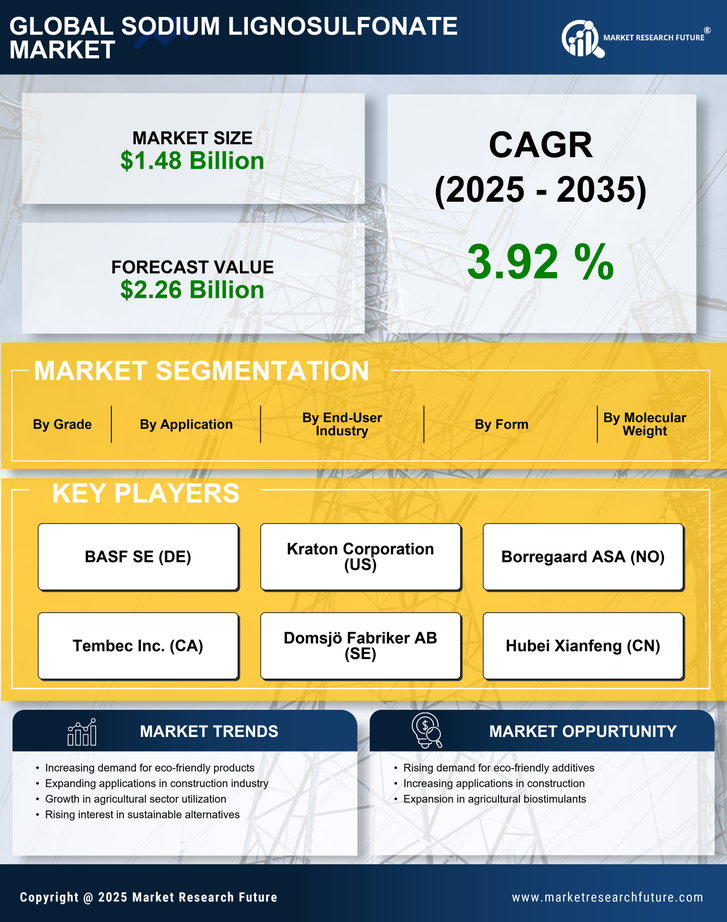 Sodium Lignosulfonate Market Research Report - Forecast Till 2035 Infographic