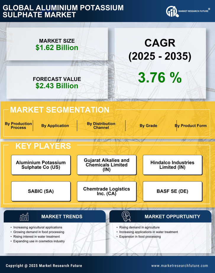 Aluminium Potassium Sulphate Market Research Report — Global Forecast till 2035 Infographic