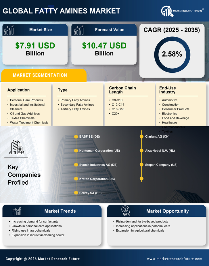 Fatty Amines Market Research Report — Global Forecast till 2035 Infographic