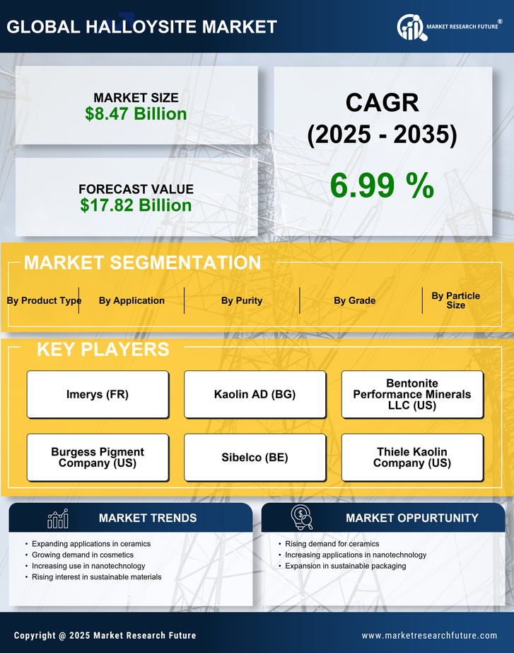 Halloysite Market Research Report - Global Forecast by 2035 Infographic