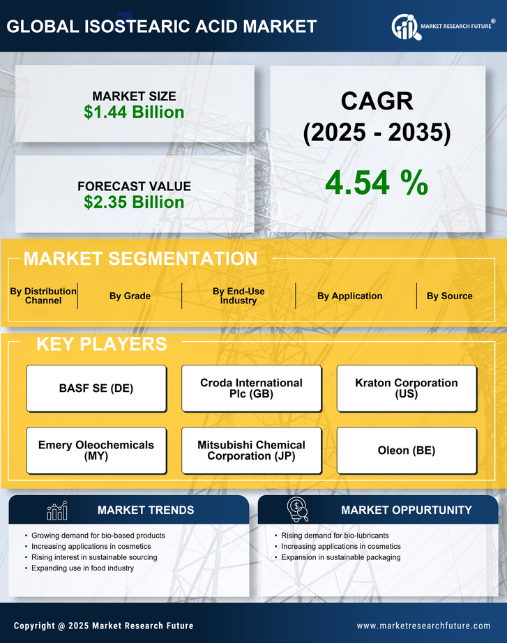 Isostearic Acid Market Research Report - Forecast Till 2035 Infographic