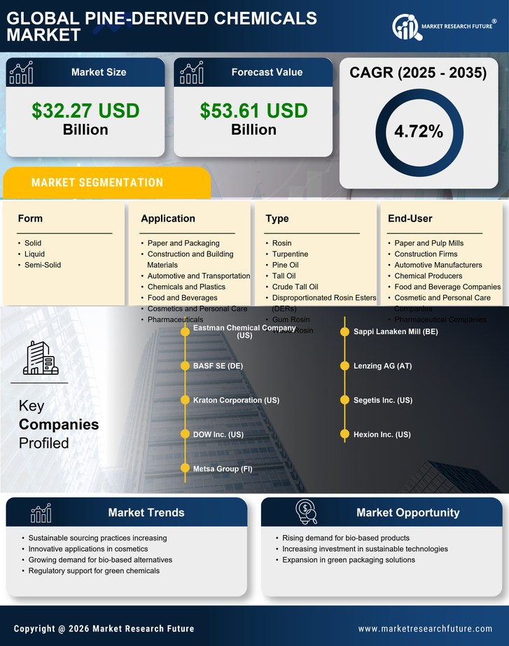 Pine-derived Chemicals Market Research Report - Global Forecast to 2035 Infographic