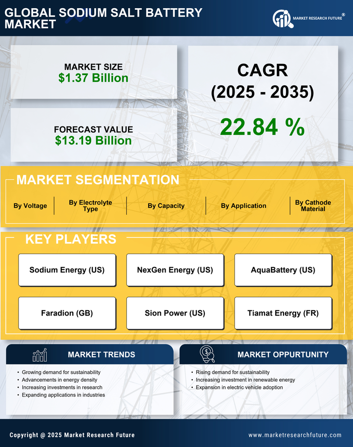Sodium Salt Battery Market Research Report - Forecast till 2035 Infographic
