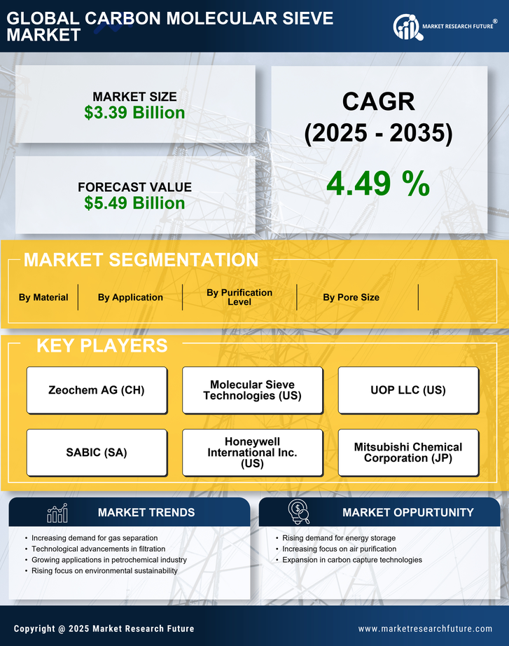 Carbon Molecular Sieve Market Research Report — Global Forecast till 2035 Infographic