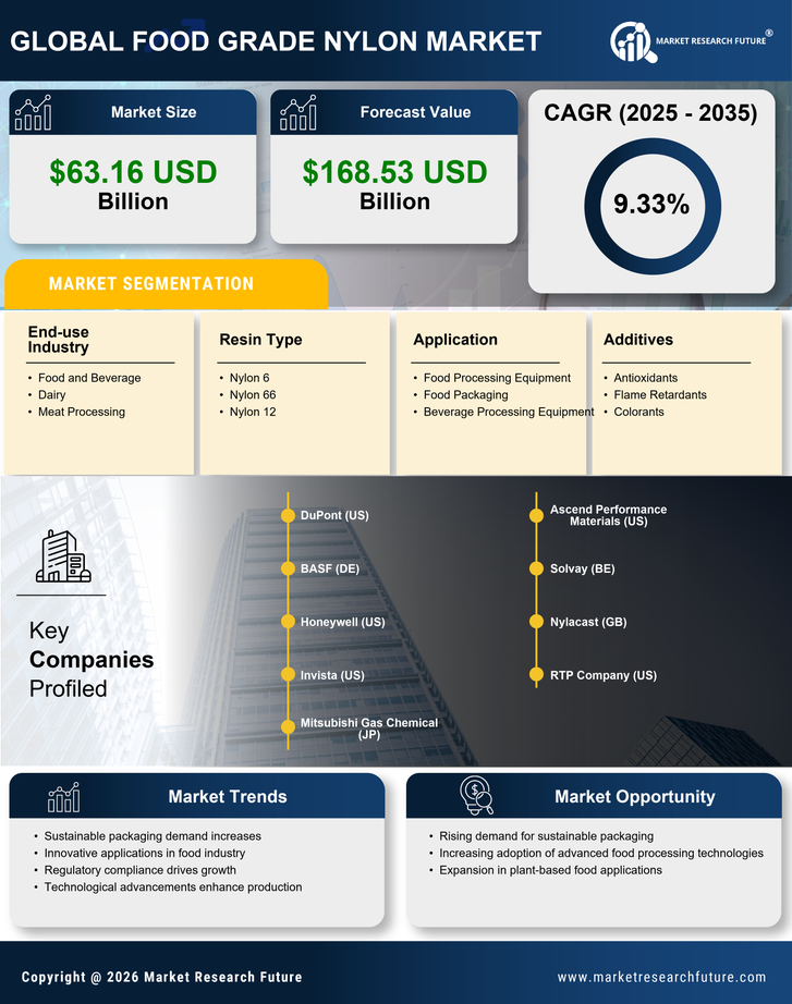 Food Grade Nylon Market Research Report Forecast Till 2035 Infographic