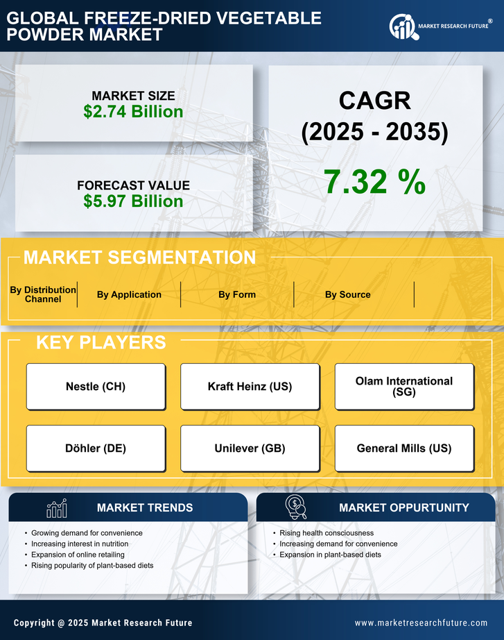 Freeze Dried Vegetable Powder Market Research Report – Global Forecast till 2035 Infographic