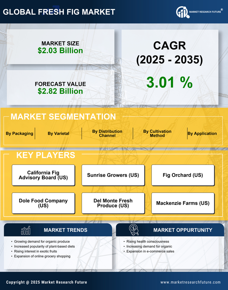 Fresh Fig Market Research Report – Global Forecast till 2035 Infographic