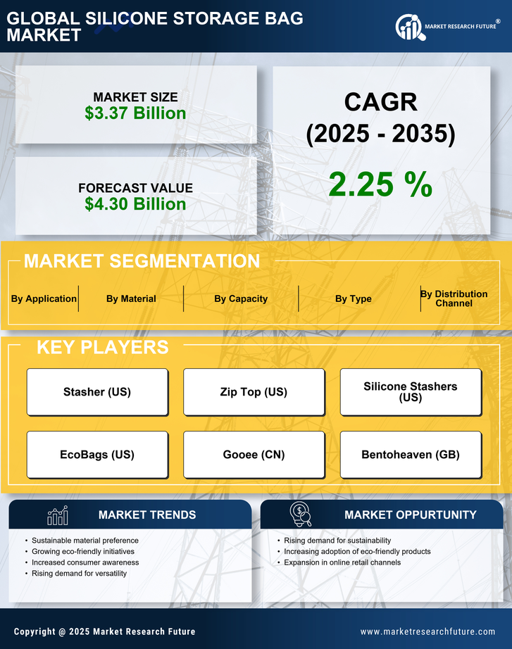 Silicone Storage Bag Market Research Report — Global Forecast till 2035 Infographic