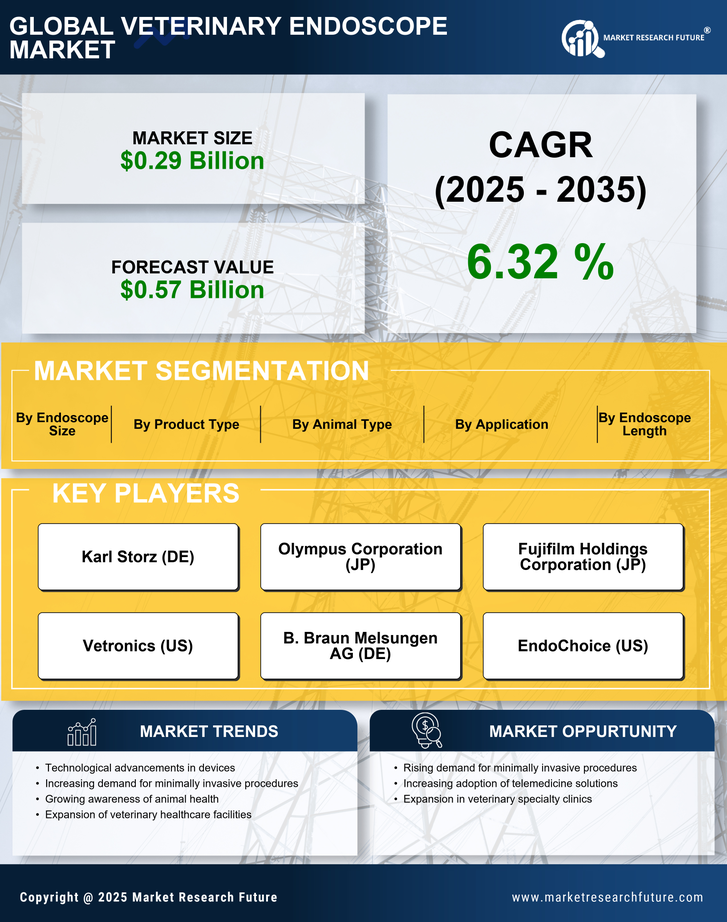 Veterinary Endoscope Market Research Report - Global Forecast 2035 Infographic