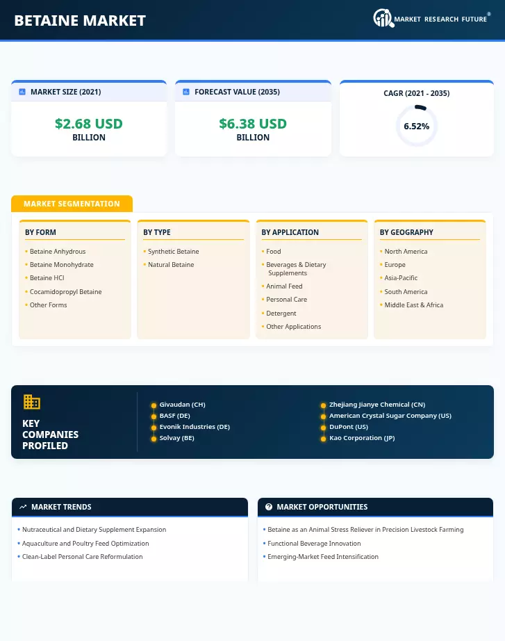 Betaine Market Size, Research Report- Forecast to 2035 Infographic