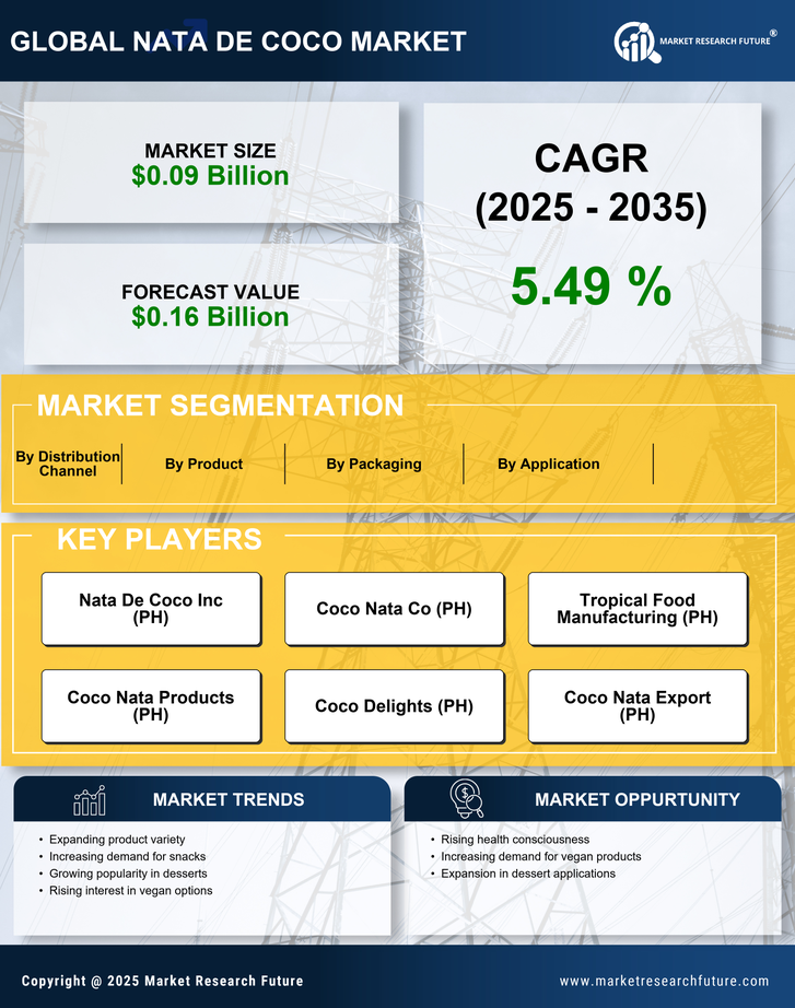 Nata De Coco Market Research Report - Forecast to 2035 Infographic