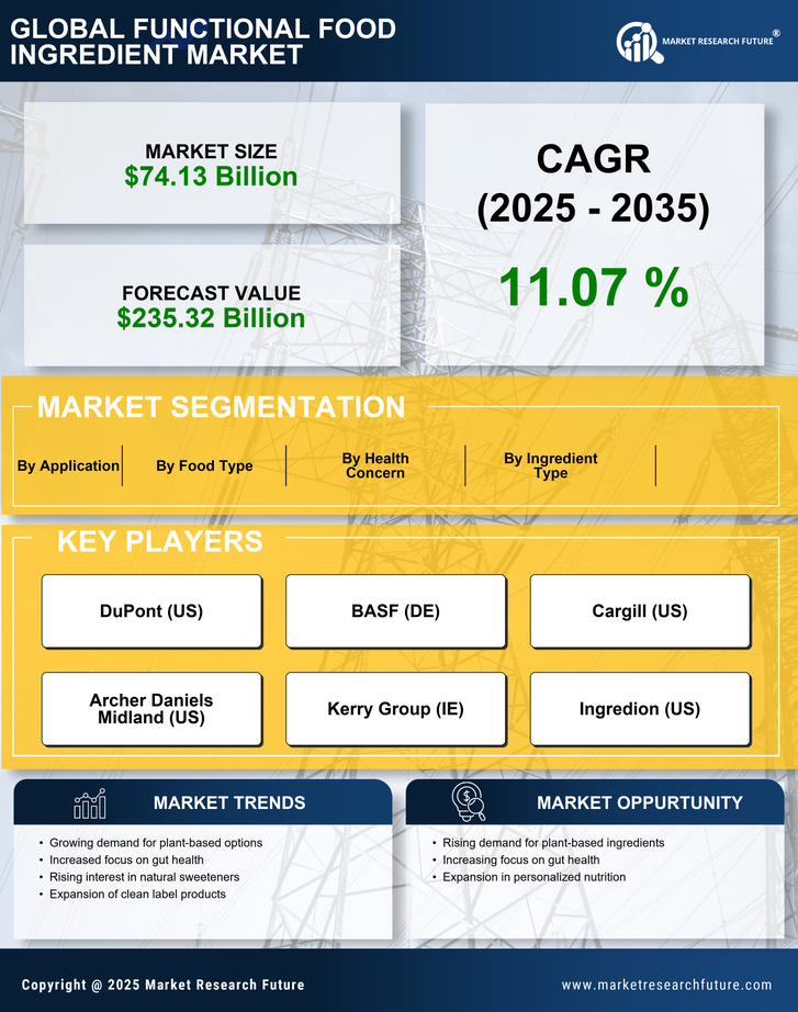 Functional Food Ingredient Market Research Report — Global Forecast till 2035 Infographic