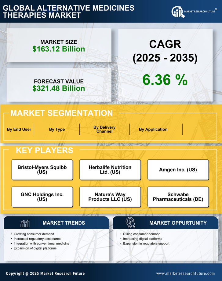 Alternative Medicines Therapies Market Research Report-Forecast till 2035 Infographic