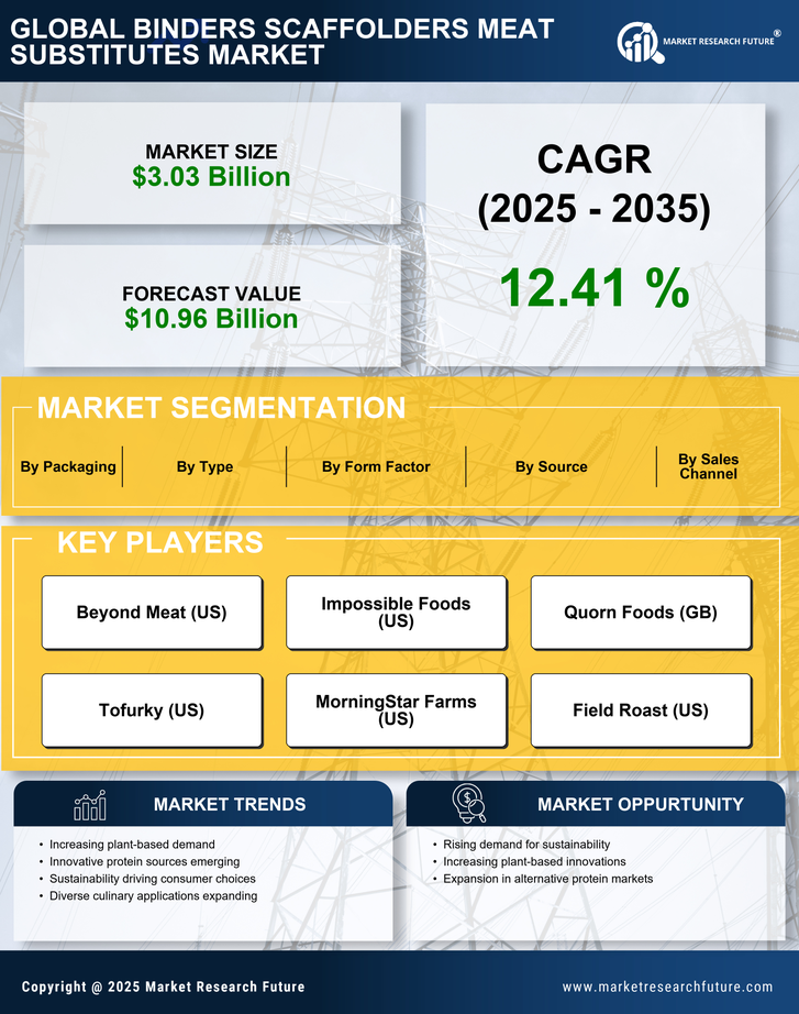 Binders Scaffolders Meat Substitutes Market Research Report — Global Forecast till 2035 Infographic