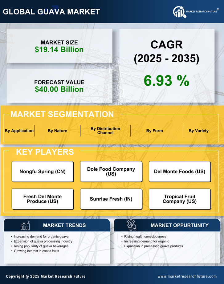 Guava Market Research Report — Global Forecast till 2035 Infographic
