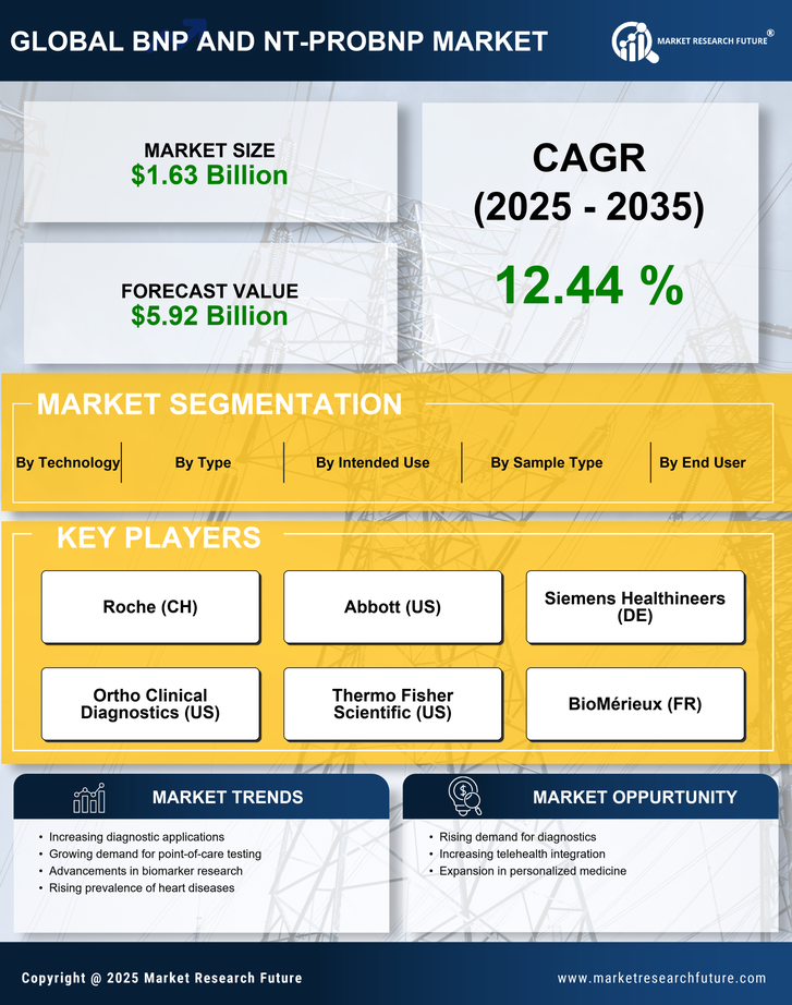 BNP and NT-proBNP Market Research Report-Forecast till 2035 Infographic