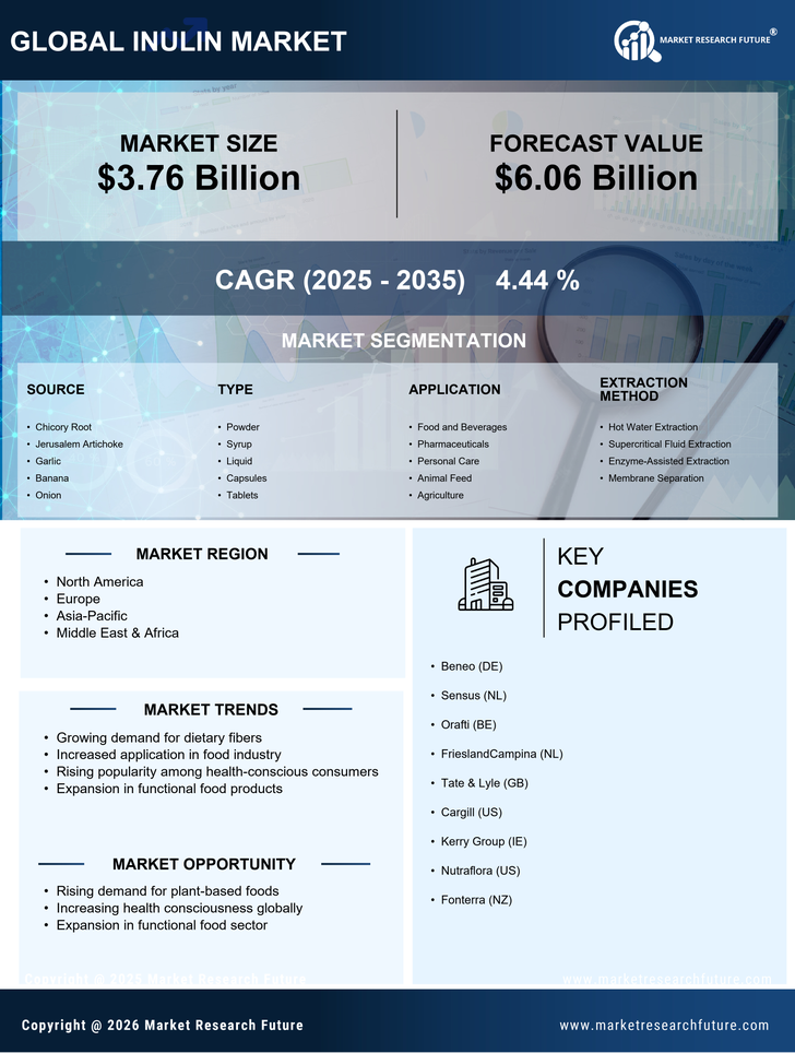 Inulin Market Research Report — Global Forecast till 2035 Infographic