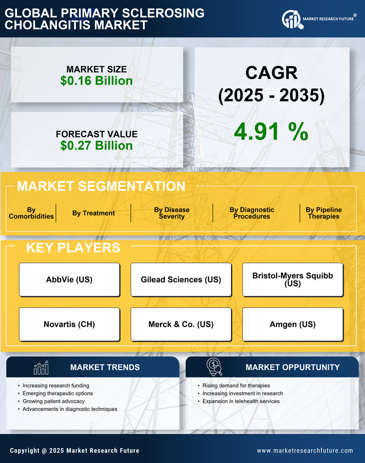 Primary Sclerosing Cholangitis Market Research Report - Forecast Till 2035 Infographic