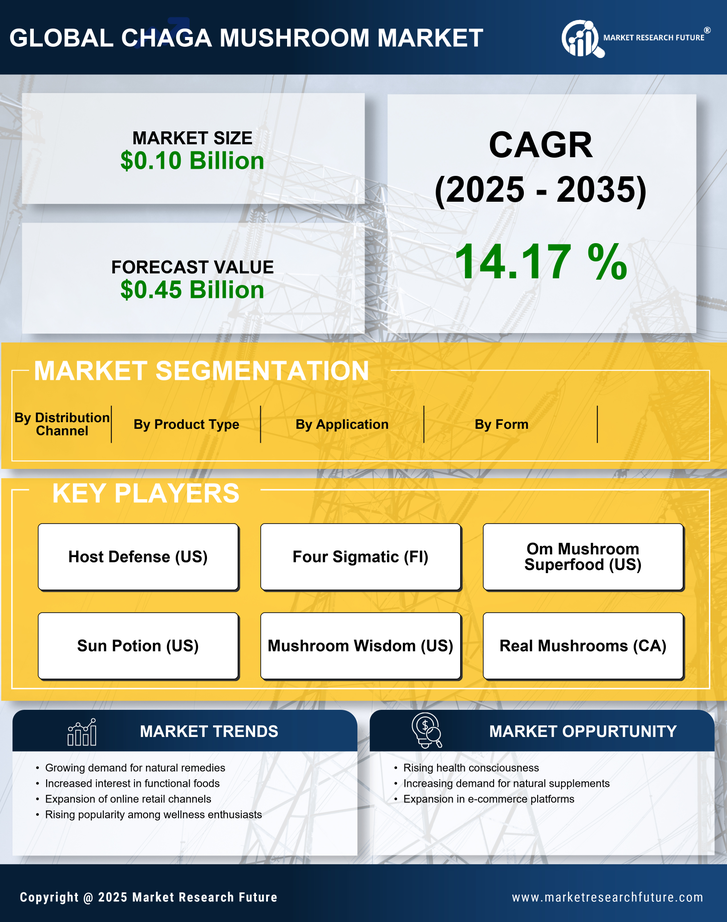 Chaga Mushroom Market Research Report - Forecast Till 2035 Infographic