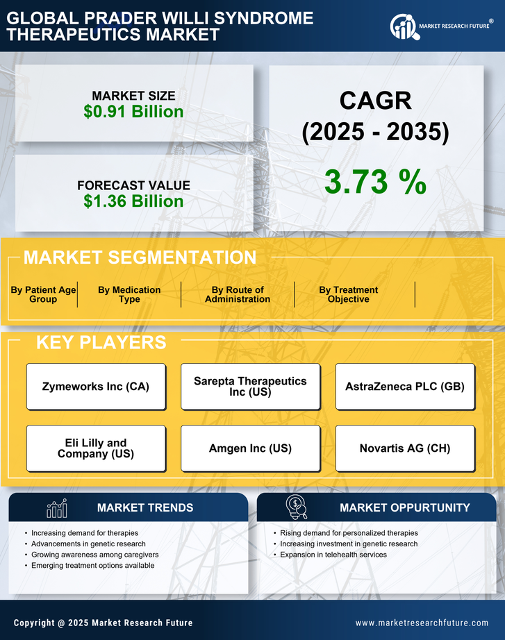 Prader Willi Syndrome Therapeutics Market Research Report - Global Forecast till 2035 Infographic