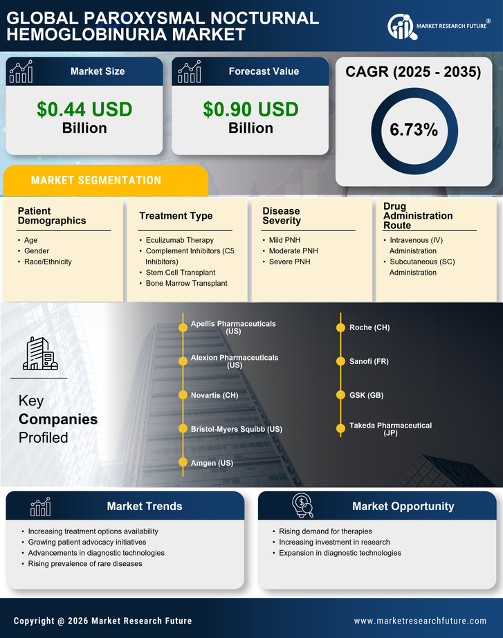 Paroxysmal Nocturnal Hemoglobinuria Market Research Report — Global Forecast till 2035 Infographic