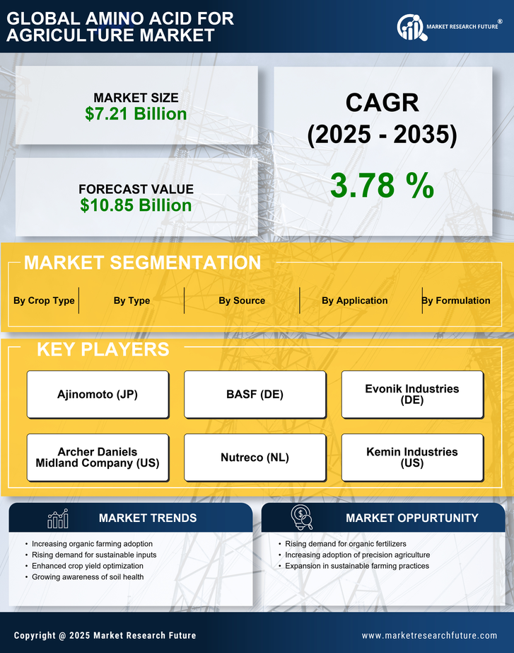 Amino Acid For Agriculture Market Research Report- Global Forecast till 2035 Infographic