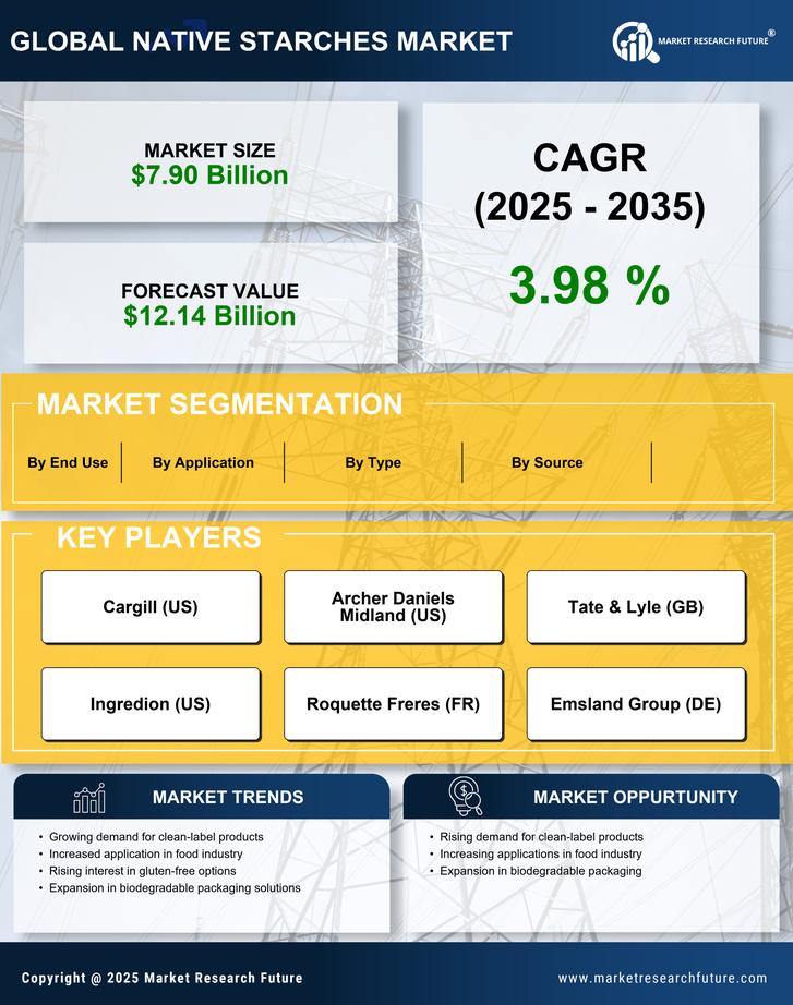Native Starches Market Research Report - Forecast to 2035 Infographic