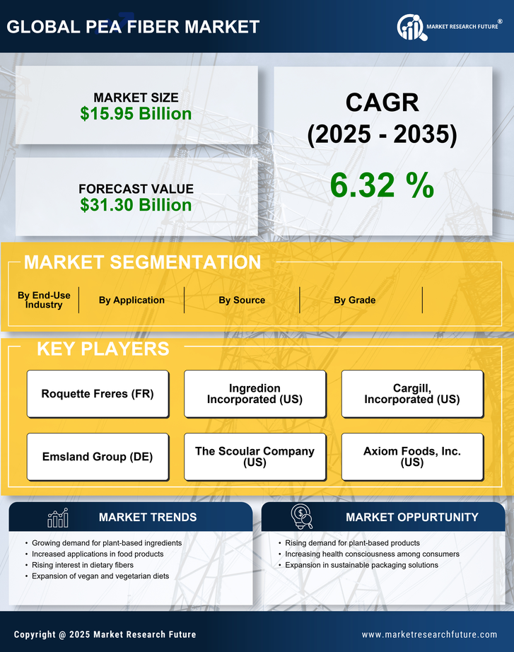 Pea Fiber Market Research Report — Global Forecast till 2035 Infographic