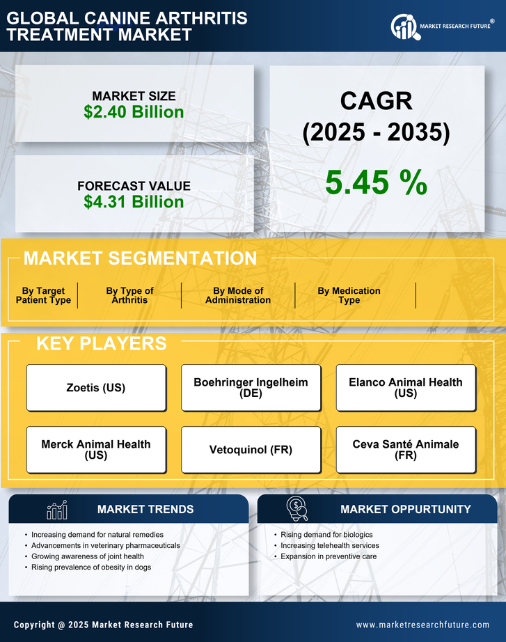 Canine Arthritis Treatment Market Research Report — Global Forecast till 2035 Infographic