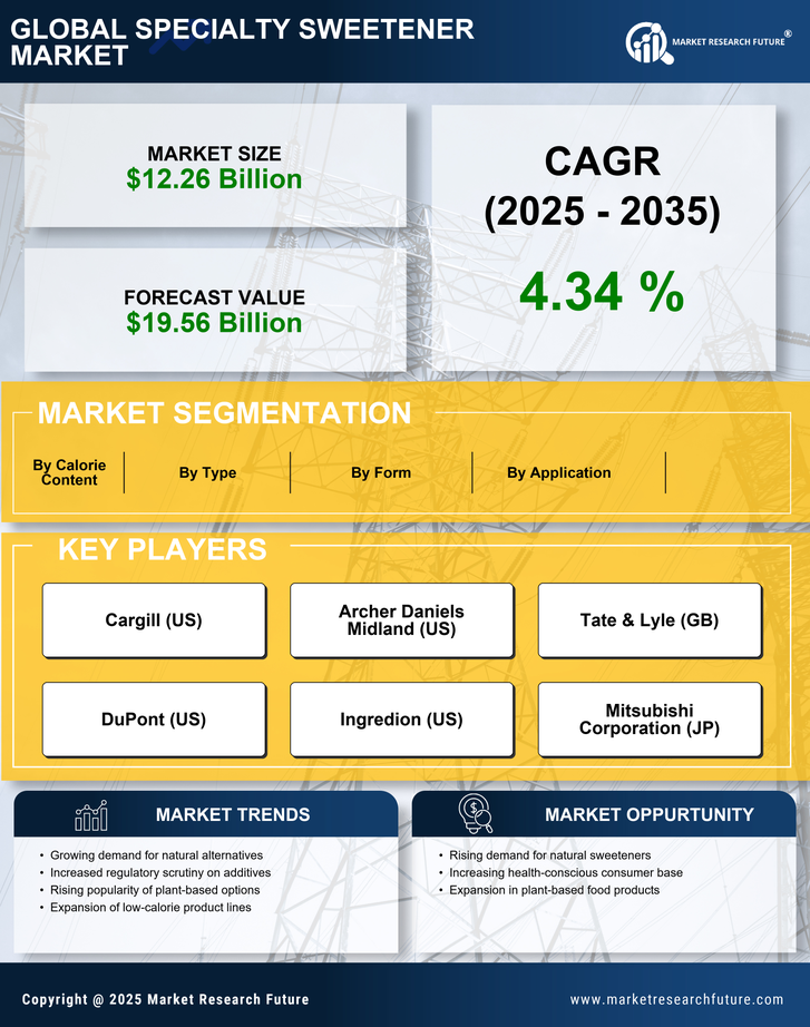 Specialty Sweetener Market Research Report — Global Forecast till 2035 Infographic