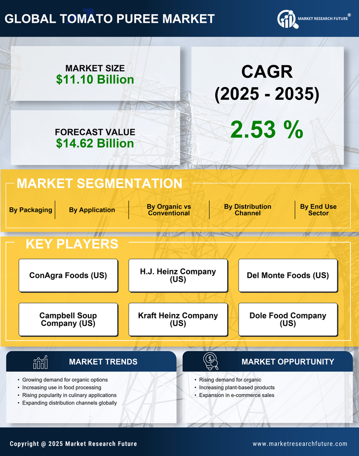 Tomato Puree Market Research Report — Global Forecast till 2035 Infographic