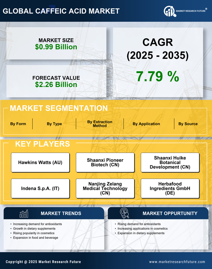 Caffeic Acid Market Research Report- Global Forecast till 2035 Infographic