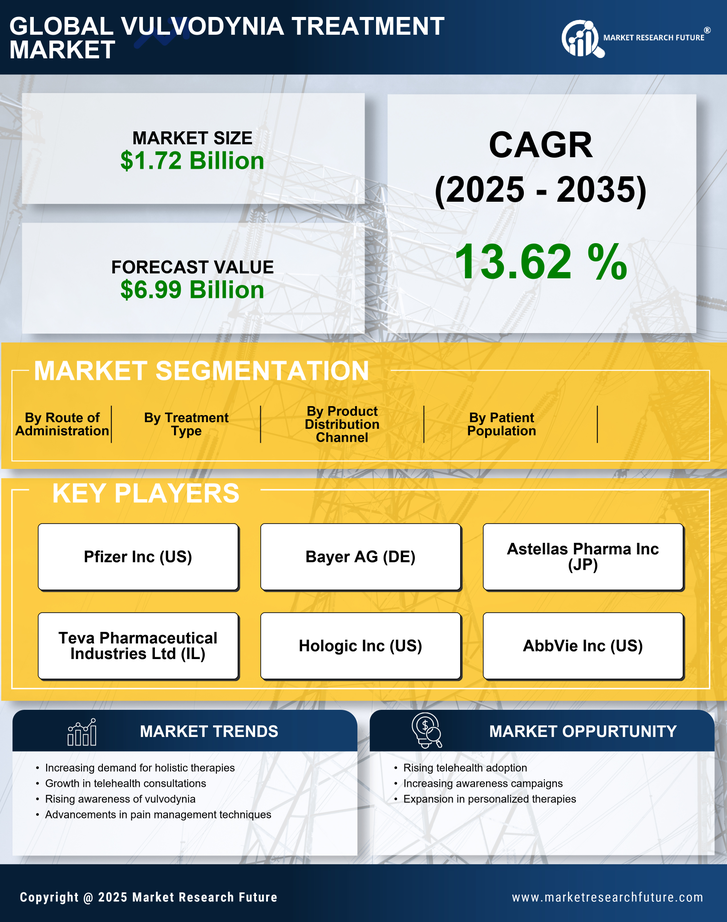 Vulvodynia Treatment Market Research Report — Global Forecast till 2035 Infographic