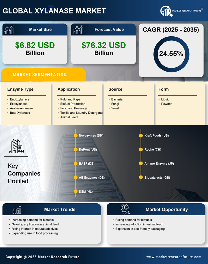 Xylanase Market Research Report — Global Forecast till 2035 Infographic