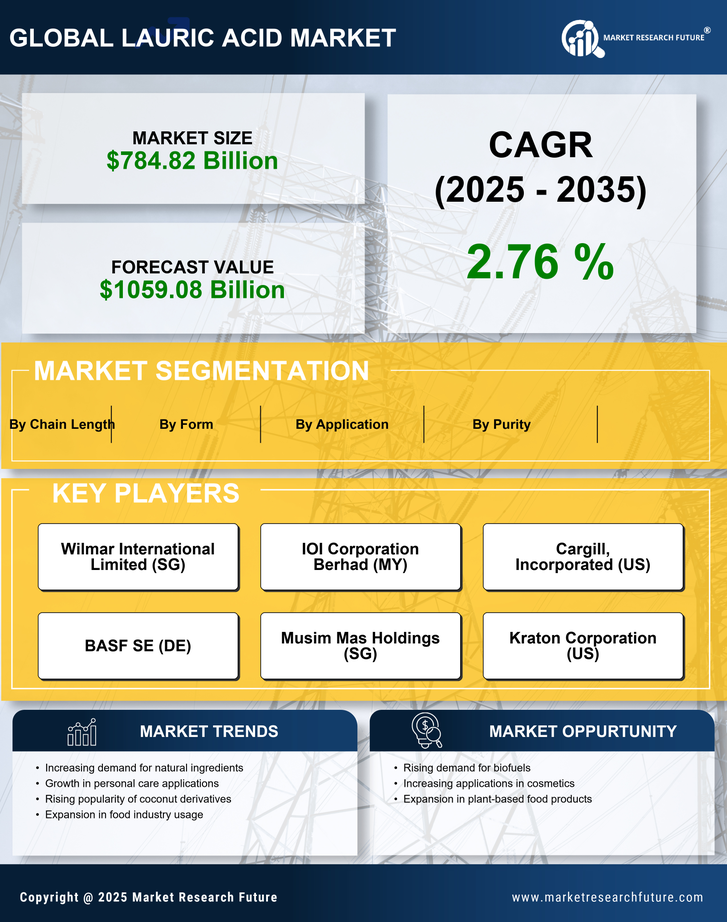 Lauric Acid Market Research Report - Forecast Till 2035 Infographic