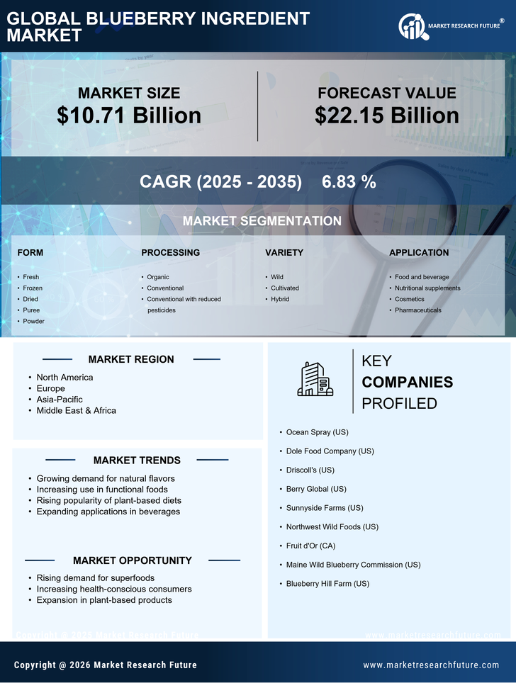 Blueberry Ingredient Market Research Report - Forecast Till 2035 Infographic