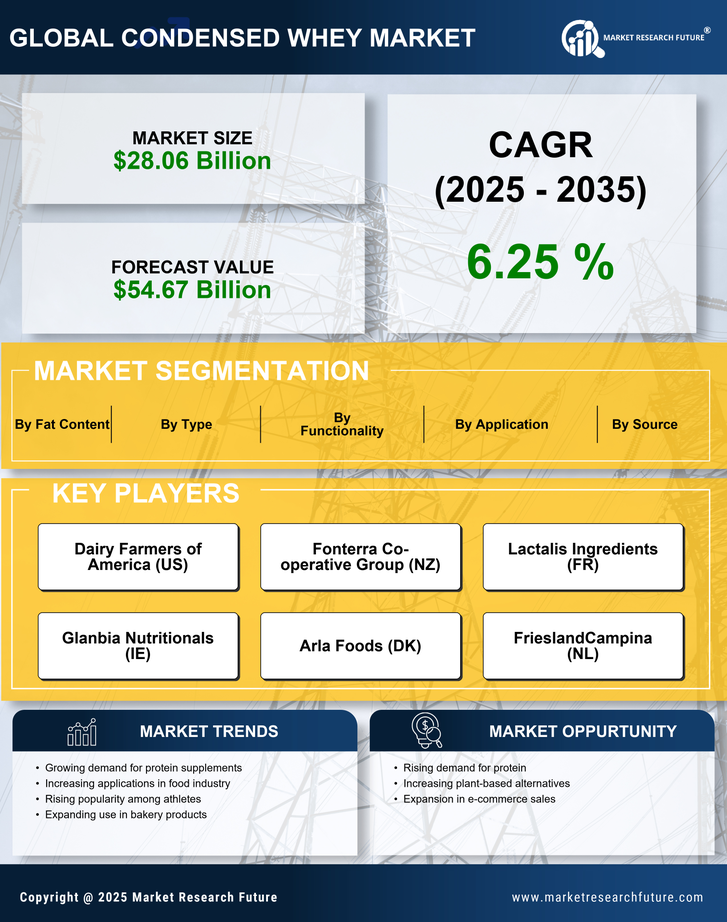 Condensed Whey Market Research Report - Forecast Till 2035 Infographic