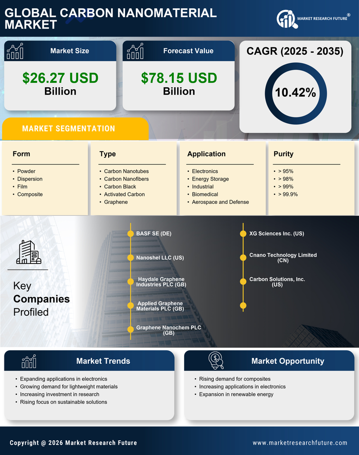Carbon Nanomaterial Market Research Report - Global Forecast till 2035 Infographic
